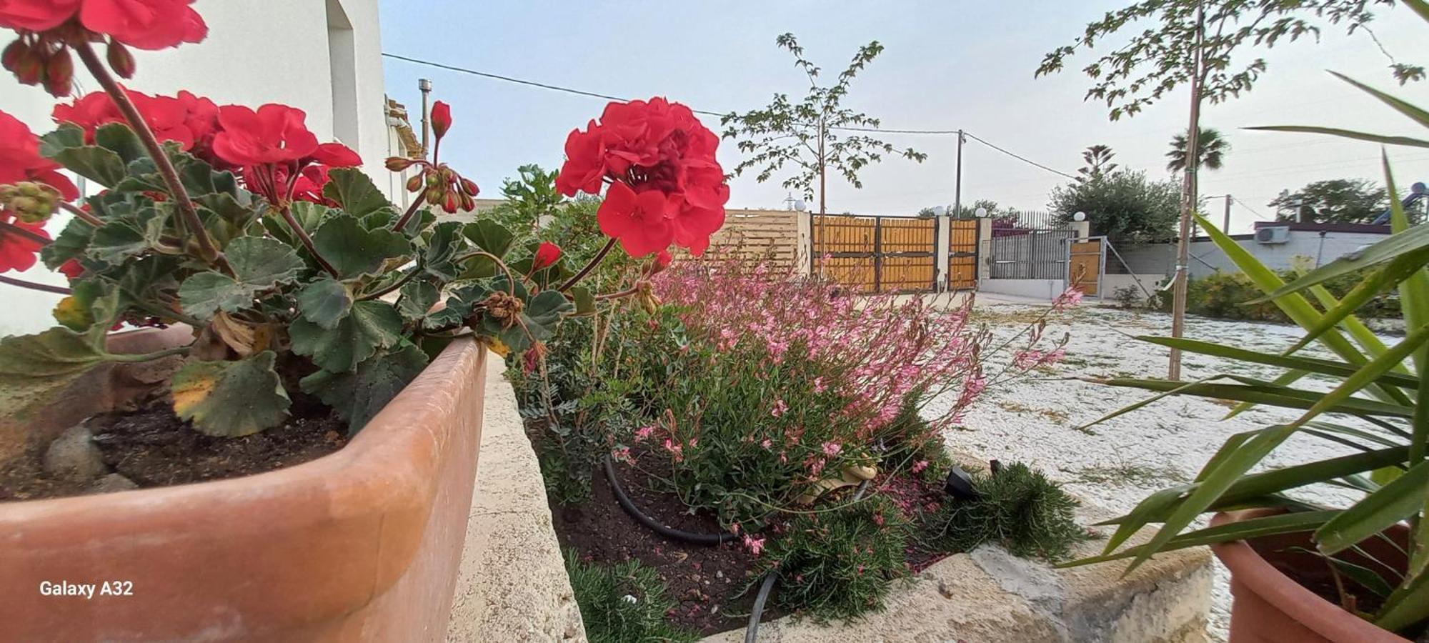 Almademari Giglio Casa Vacanza Pachino Oda fotoğraf