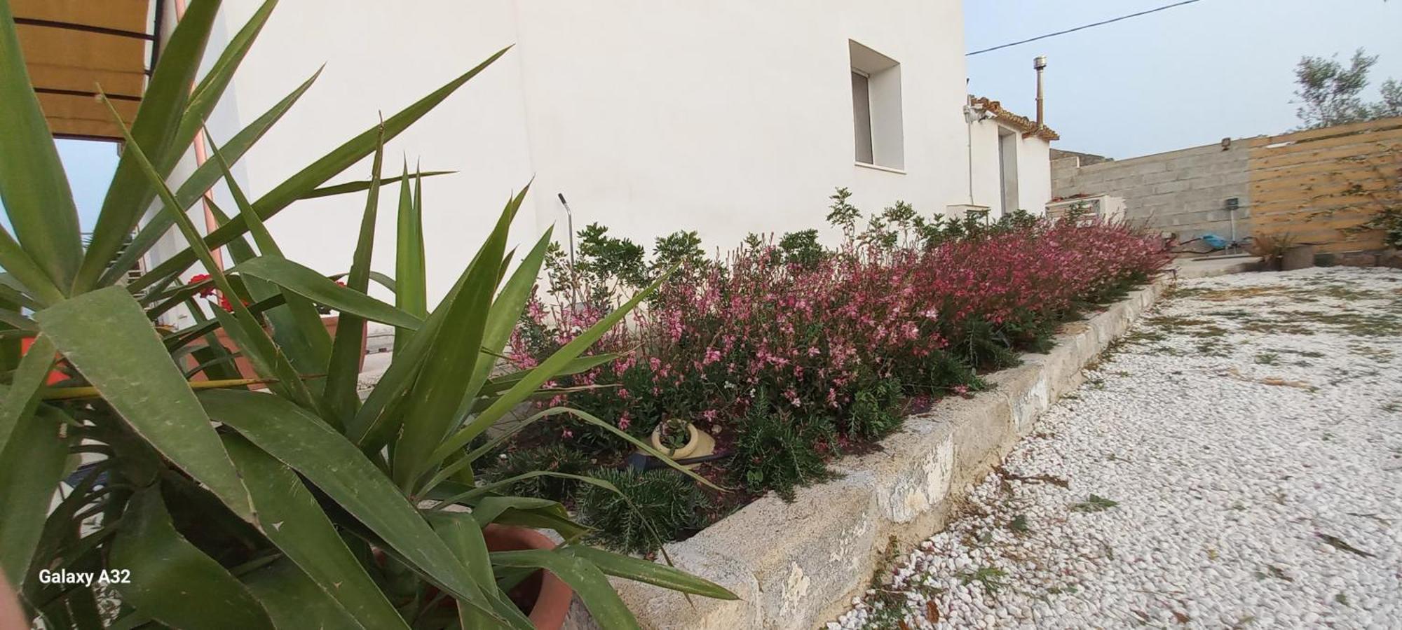 Almademari Giglio Casa Vacanza Pachino Oda fotoğraf